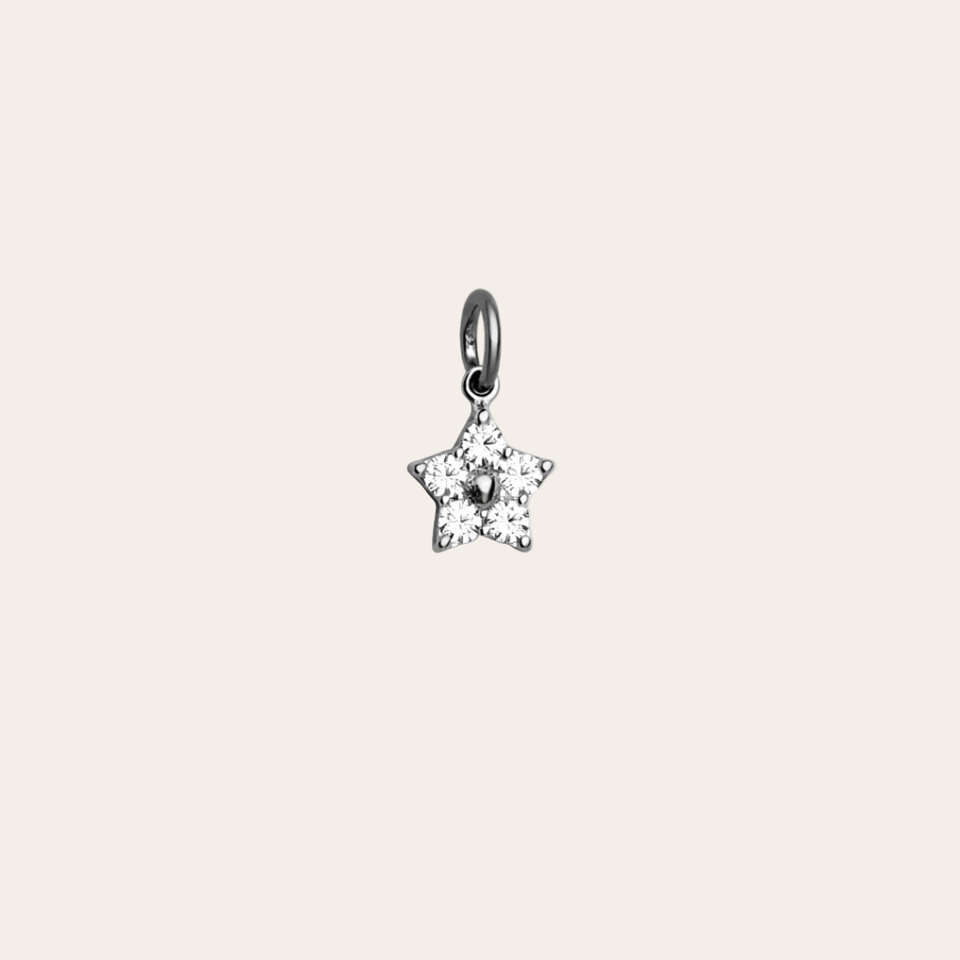 charm de acero flor sfinge infinity